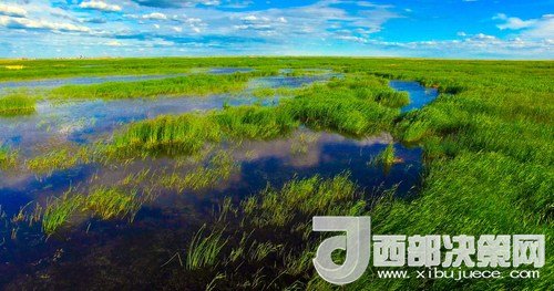 呼倫湖濕地。吳勇攝