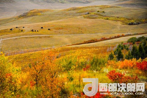 錫林郭勒草原國(guó)家級(jí)自然保護(hù)區(qū)。吳勇攝