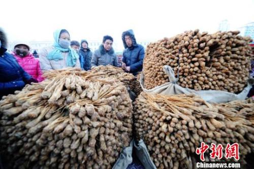 甘肅岷縣中國當歸城內(nèi)中藥材交易場景。楊艷敏 攝