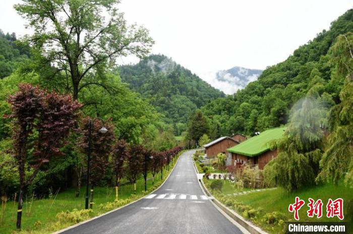 九寨溝熊貓園外景?！【耪瘻峡h委宣傳部提供 攝