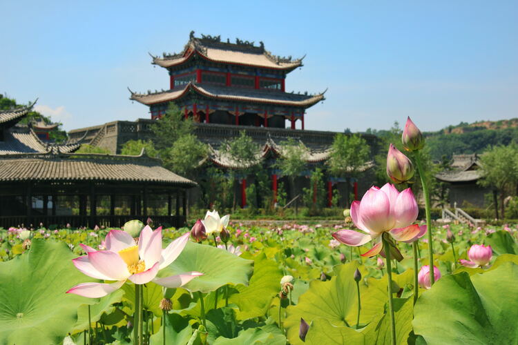 【云游渭南】心中若有桃花源，此處便是水云間！待疫情散盡，一起來渭南桃花源賞美景、觀民俗、享美食_fororder_2