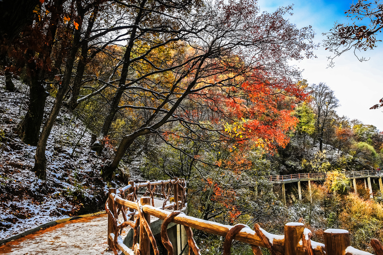【云游渭南】待到春暖花開(kāi)之時(shí)，我們相約草長(zhǎng)鶯飛的少華山！_fororder_冬雪初吻