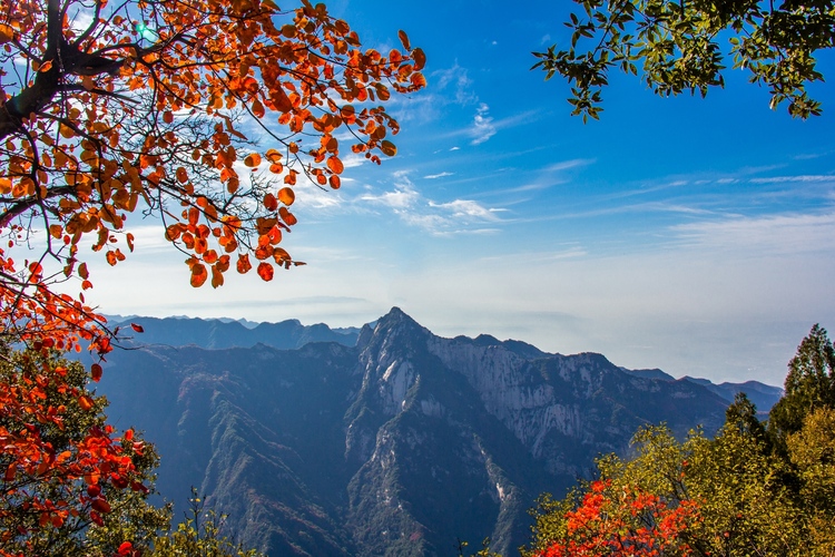 【云游渭南】待到春暖花開(kāi)之時(shí)，我們相約草長(zhǎng)鶯飛的少華山！_fororder_少華峰