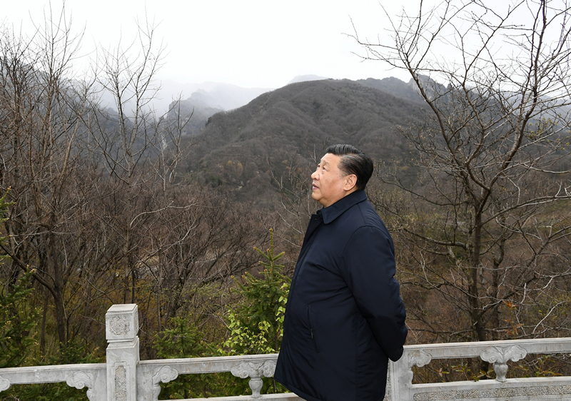 2020年4月20日，習(xí)近平在陜西秦嶺牛背梁國家級自然保護(hù)區(qū)，了解秦嶺生態(tài)保護(hù)工作情況。